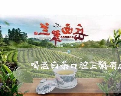 喝老白茶口腔上颚有点涩/2023101637147