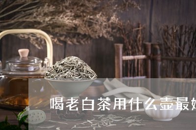 喝老白茶用什么壶最好/2023092837360