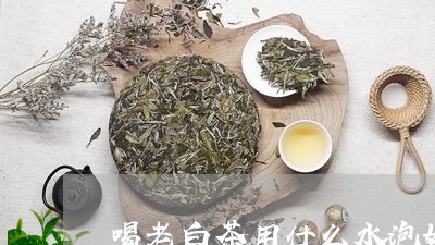 喝老白茶用什么水泡好/2023092896059