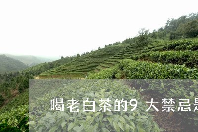 喝老白茶的9大禁忌是/2023092784806