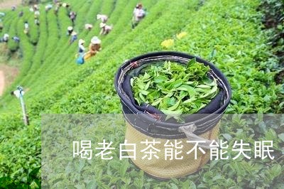 喝老白茶能不能失眠/2023071620492