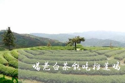 喝老白茶能吃榴莲吗/2023071687273