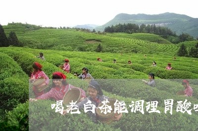 喝老白茶能调理胃酸吗/2023092815146