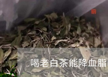 喝老白茶能降血脂吗/2023081483939