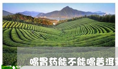 喝胃药能不能喝普洱茶/2023092771603