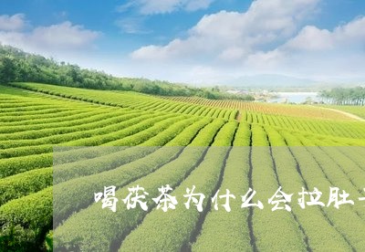 喝茯茶为什么会拉肚子/2023060868493