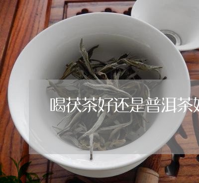 喝茯茶好还是普洱茶好/2023062414028