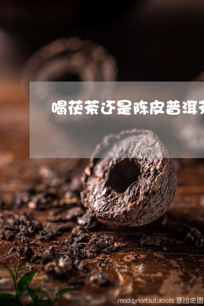 喝茯茶还是陈皮普洱茶/2023080338372