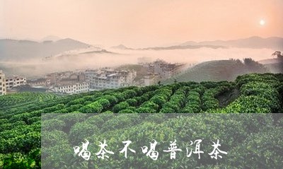 喝茶不喝普洱茶/2023082901403