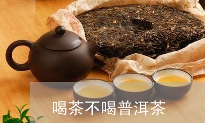 喝茶不喝普洱茶/2023121503927