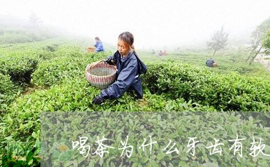 喝茶为什么牙齿有软软的感觉/2023052667370