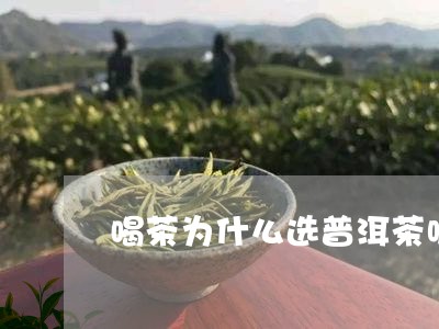 喝茶为什么选普洱茶呢/2023081647149