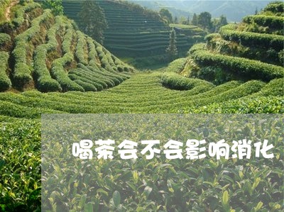 喝茶会不会影响消化/2023042279279