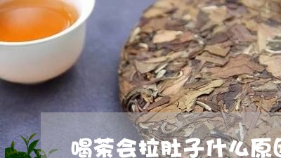 喝茶会拉肚子什么原因/2023092149371