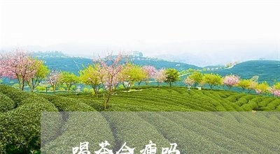 喝茶会瘦吗/2023090277250