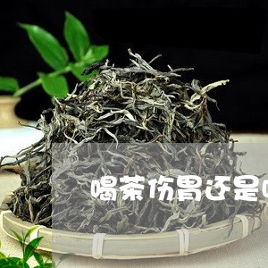 喝茶伤胃还是喝白茶/2023071668469