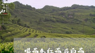 喝茶先红茶后白茶/2023061619581