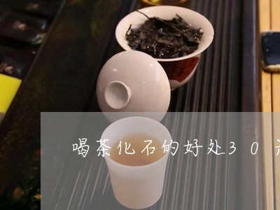 喝茶化石的好处30元一斤的茶叶/2023060172835