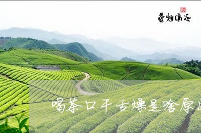 喝茶口干舌燥是啥原因/2023071665150