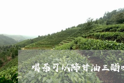 喝茶可以降甘油三酯吗/2023071580573