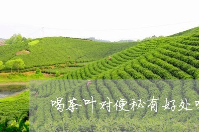 喝茶叶对便秘有好处吗/2023092245057