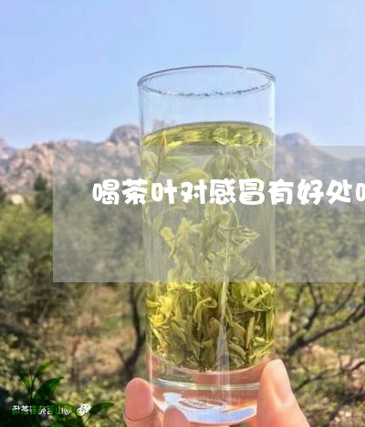 喝茶叶对感冒有好处吗/2023061042783