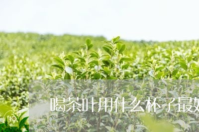 喝茶叶用什么杯子最好/2023061166969