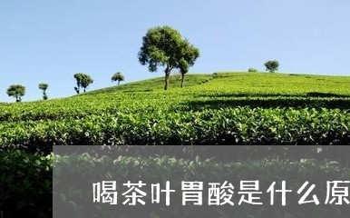 喝茶叶胃酸是什么原因/2023061161815