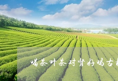 喝茶叶茶对肾好吗古树滇红茶的功效/2023060371605