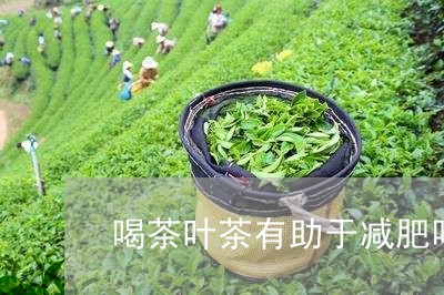 喝茶叶茶有助于减肥吗/2023071651793