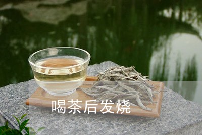 喝茶后发烧/2023090215269