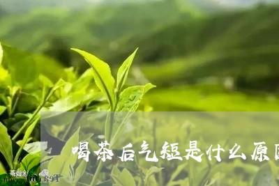 喝茶后气短是什么原因/2023060922925