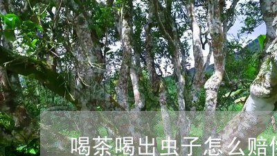 喝茶喝出虫子怎么赔偿/2023060890805