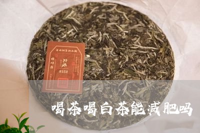 喝茶喝白茶能减肥吗/2023071603815