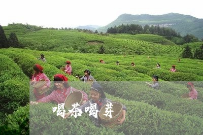 喝茶喝芽/2023121964048