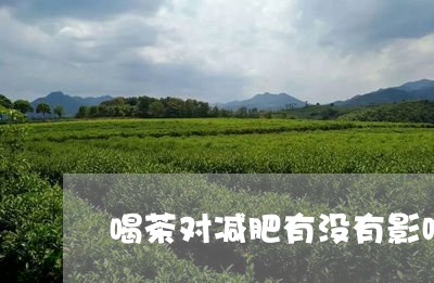 喝茶对减肥有没有影响/2023060940714