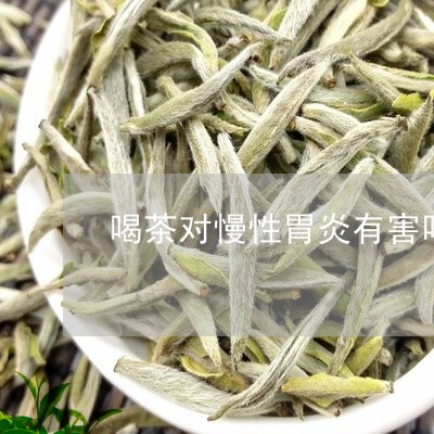 喝茶对慢性胃炎有害吗/2023092136462