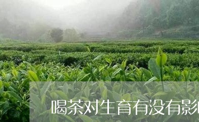 喝茶对生育有没有影响/2023071673617