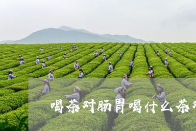 喝茶对肠胃喝什么茶对肠子有益/2023053124818