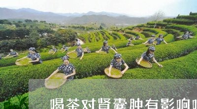 喝茶对肾囊肿有影响吗/2023071630725