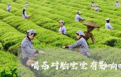 喝茶对胎宝宝有影响吗/2023071640715