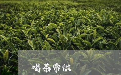 喝茶常识/2023121959612