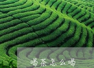 喝茶怎么喝/2023090225146