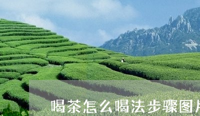 喝茶怎么喝法步骤图片/2023071511682