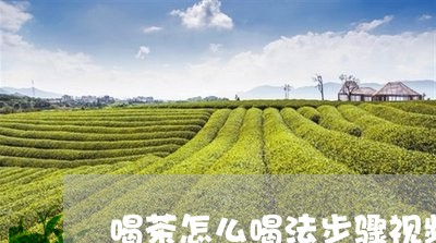 喝茶怎么喝法步骤视频/2023060919573