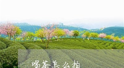 喝茶怎么拍/2023090228573