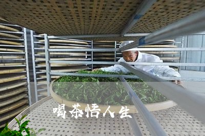 喝茶悟人生/2023090269503