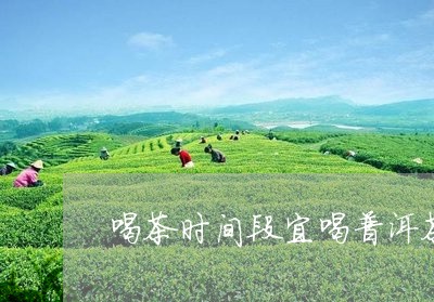 喝茶时间段宜喝普洱茶/2023092654137