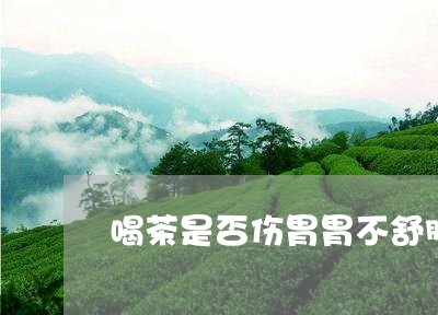 喝茶是否伤胃胃不舒服喝茶有影响吗/2023060441705