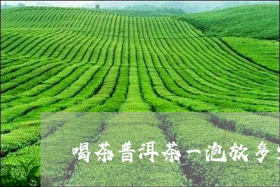 喝茶普洱茶一泡放多少/2023092806260